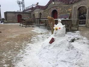 哈尔滨下雪爆料视频最新,冬日浪漫瞬间走红网络 第2张 哈尔滨下雪爆料视频最新,冬日浪漫瞬间走红网络 第2张